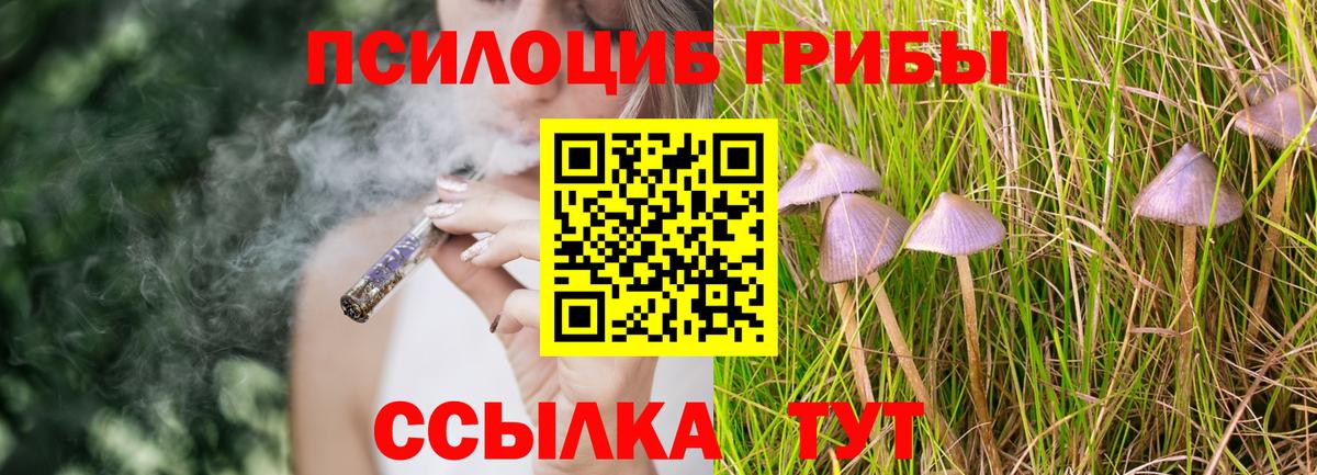 Оренбург  Галлюциногенные грибы MAGIC MUSHROOMS  Вход с VPN  Галлюциногенные грибы Magic Shrooms 